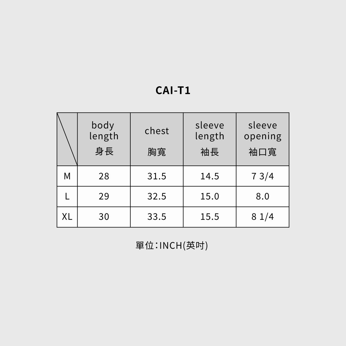 CAI-T1-03 T-SHIRT / GREY