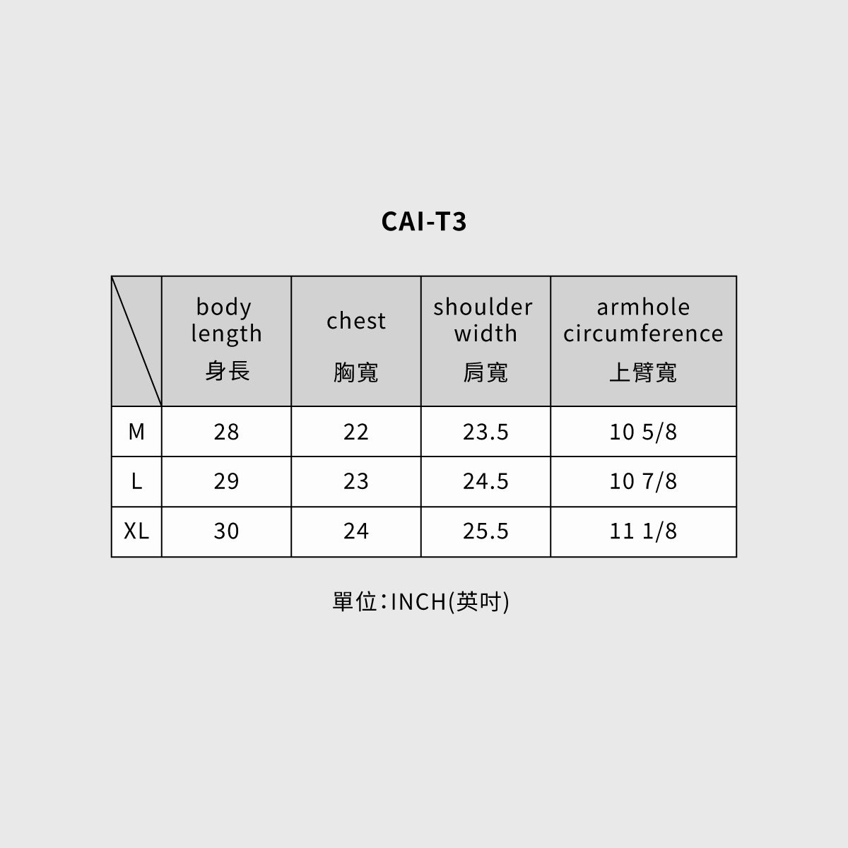 CAI-T3-03 背心 / 灰色